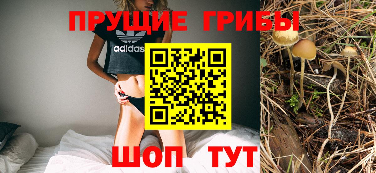 Галлюциногенные грибы Magic Shrooms Канск